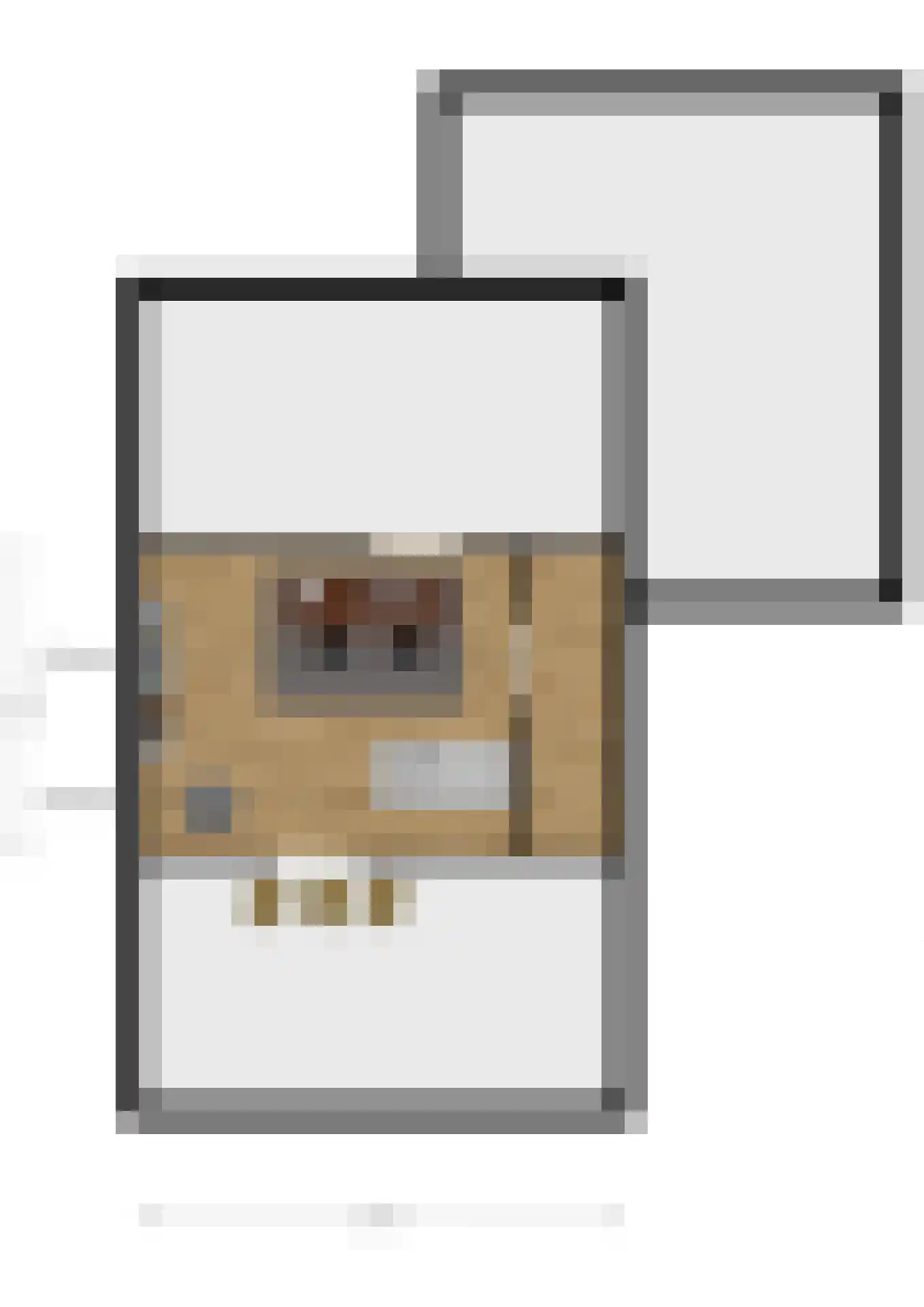 Lisdodde 16 Zuidhorn thumbnail 55