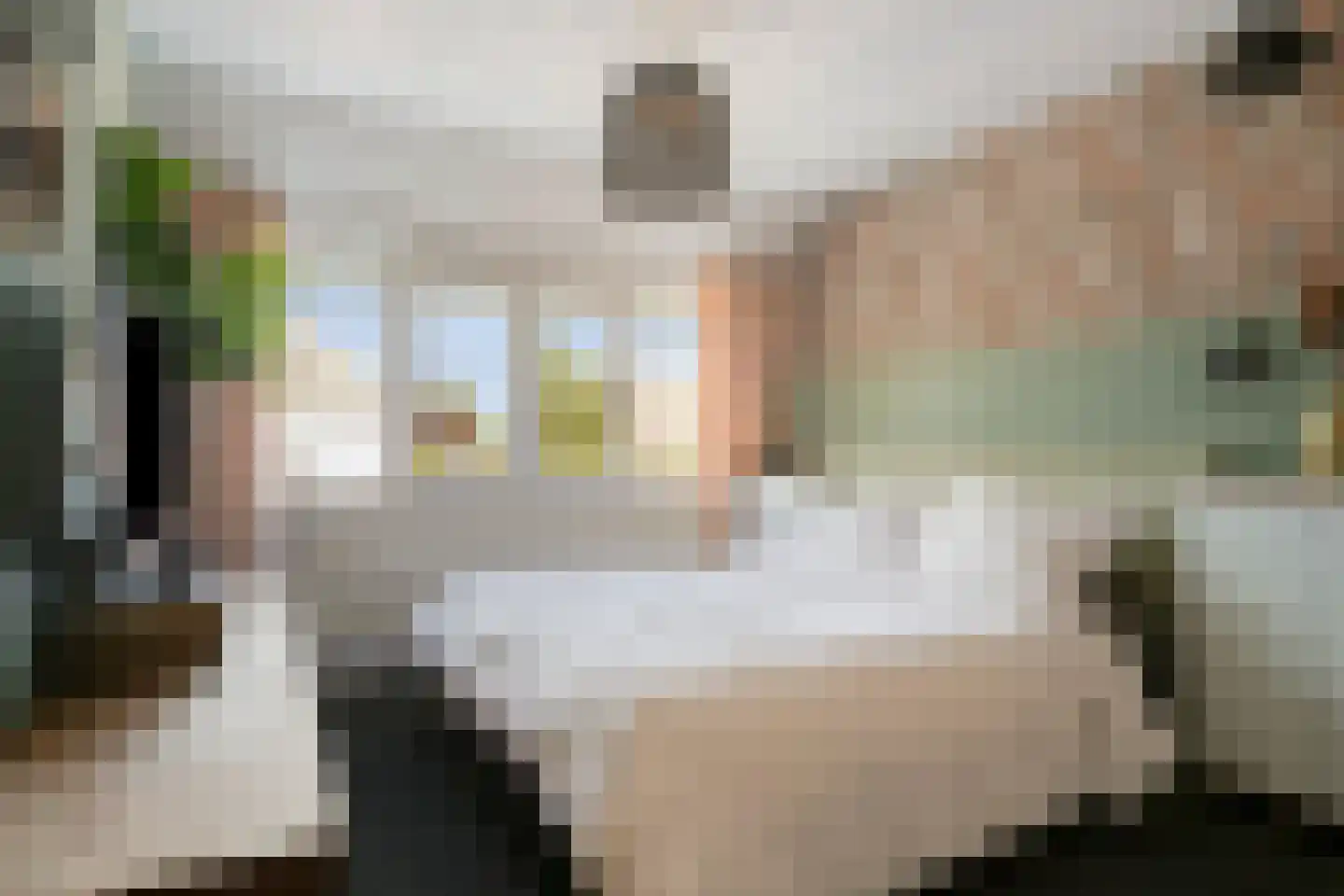Lisdodde 18 Mierlo thumbnail 18