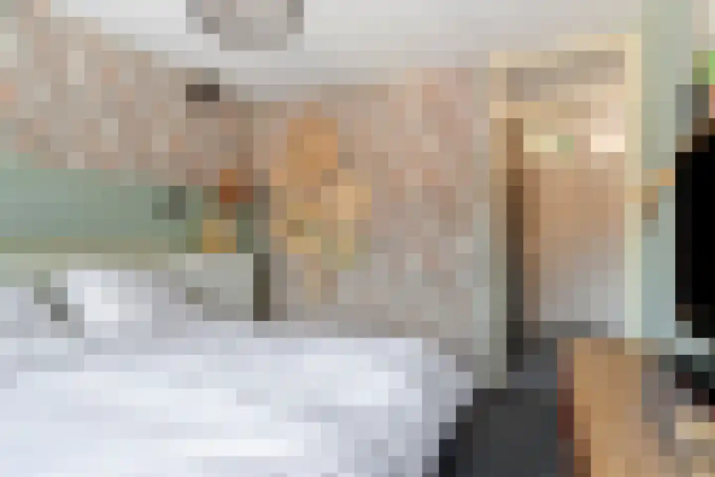 Lisdodde 18 Mierlo thumbnail 19