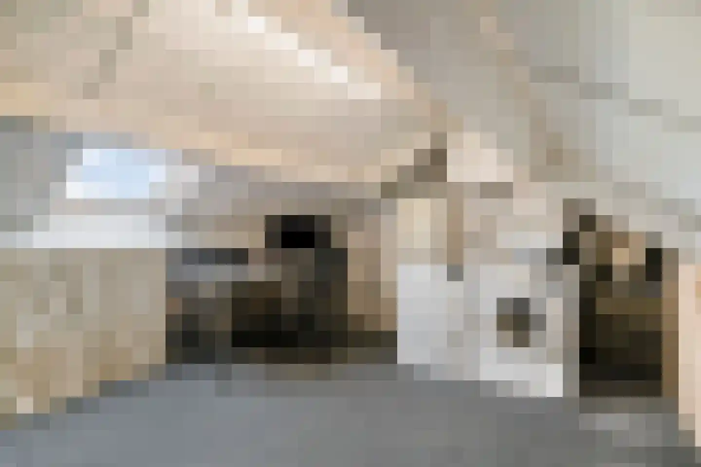 Lisdodde 18 Mierlo thumbnail 27