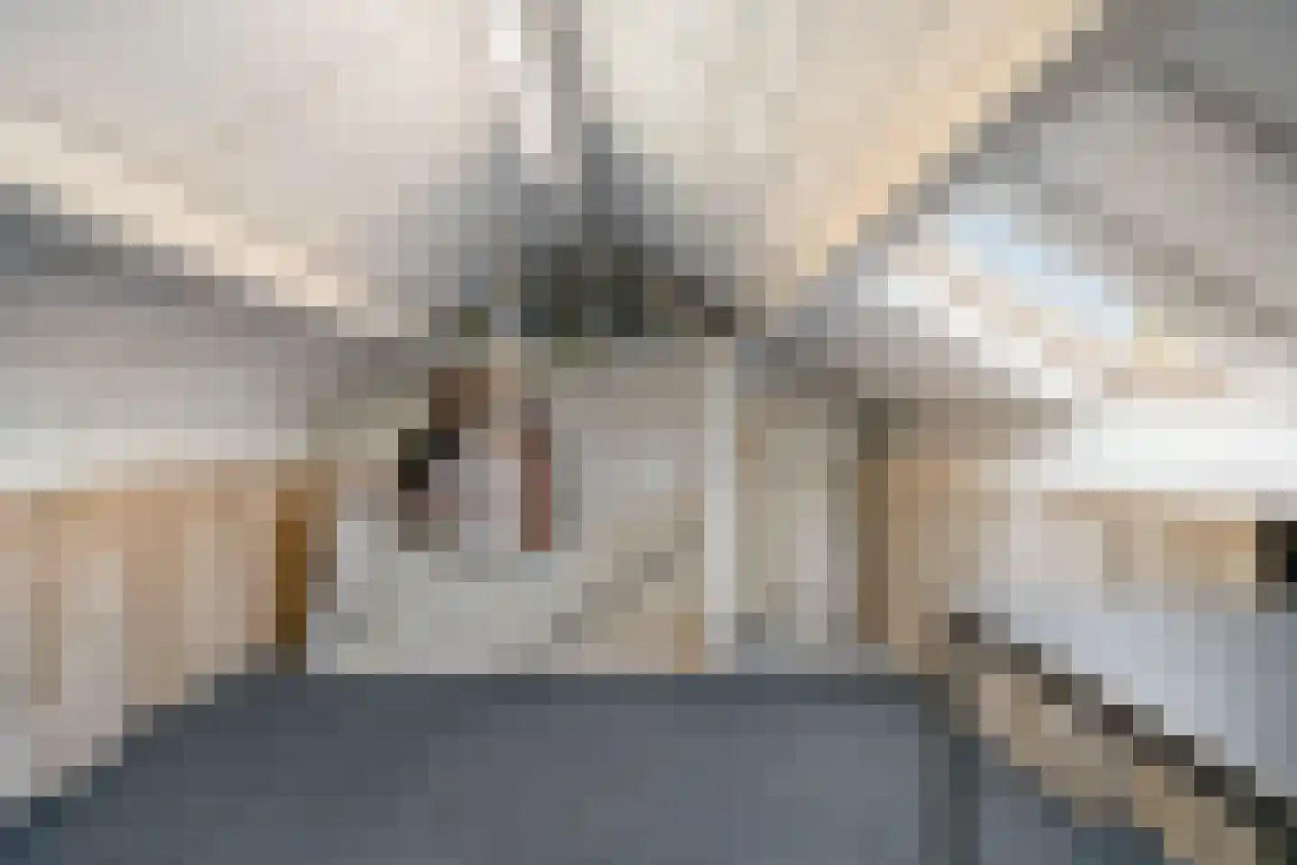 Lisdodde 18 Mierlo thumbnail 28