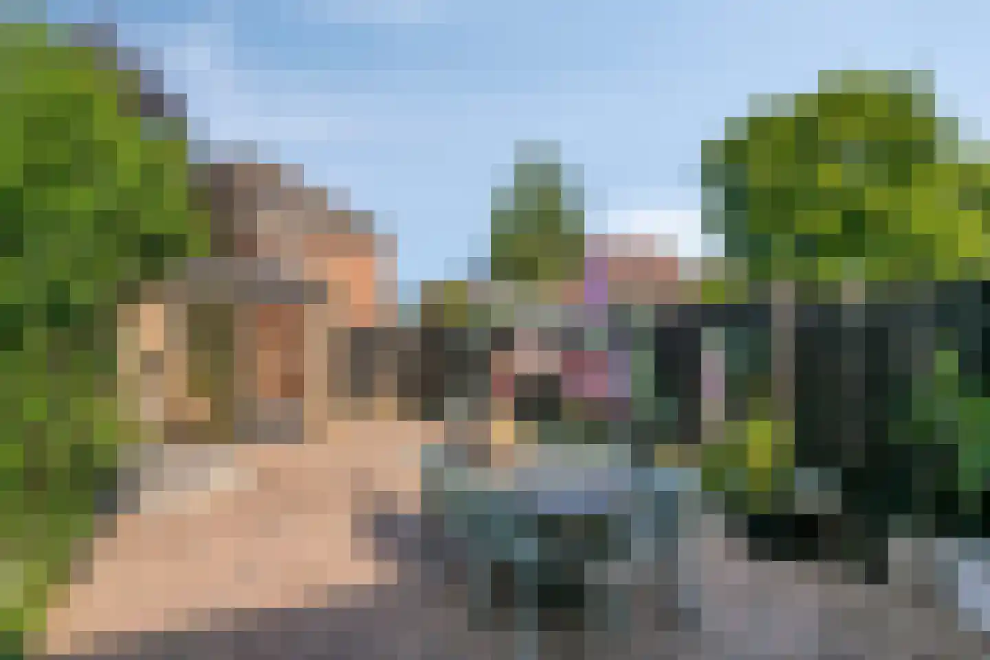 Lisdodde 18 Mierlo thumbnail 29