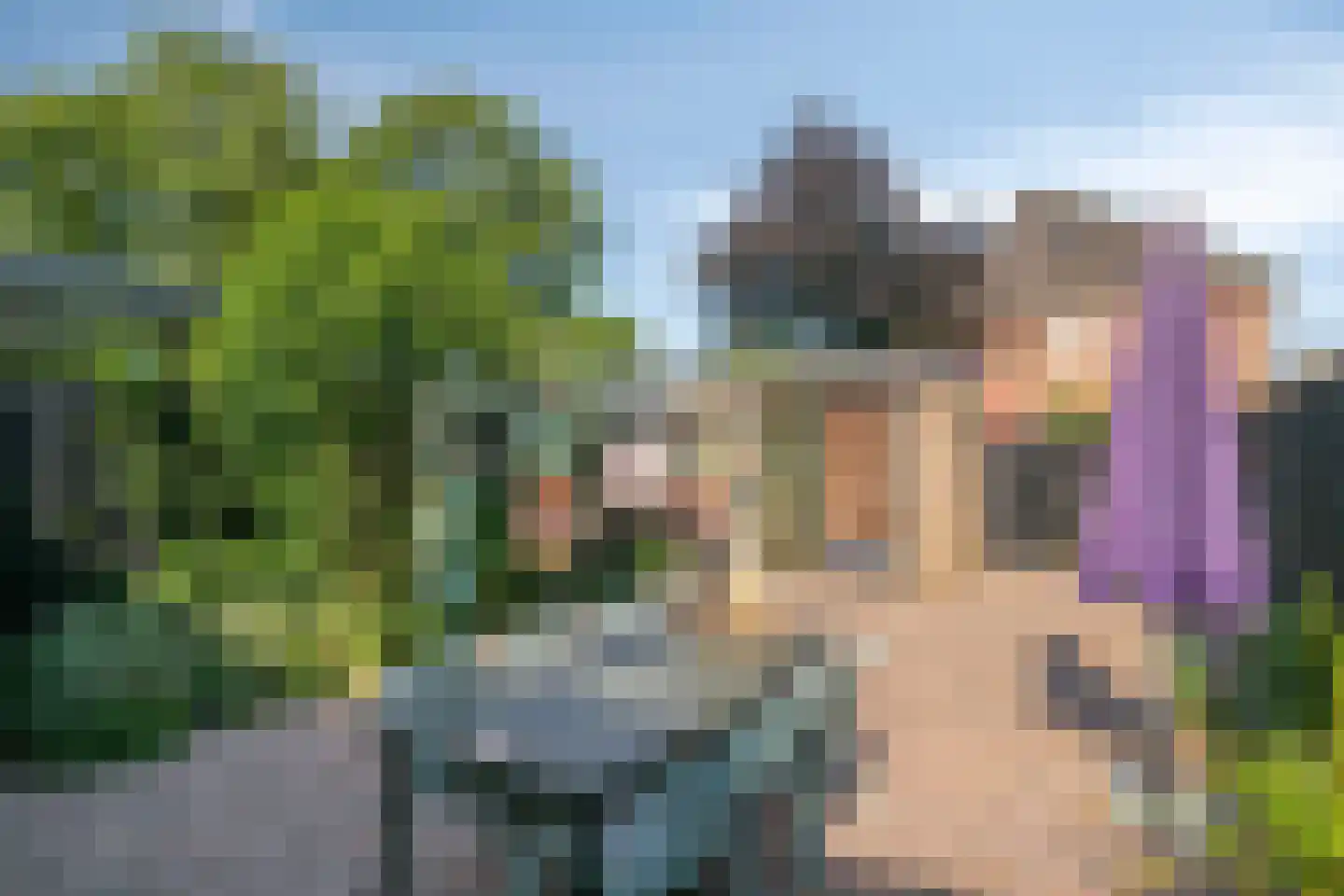 Lisdodde 18 Mierlo thumbnail 30