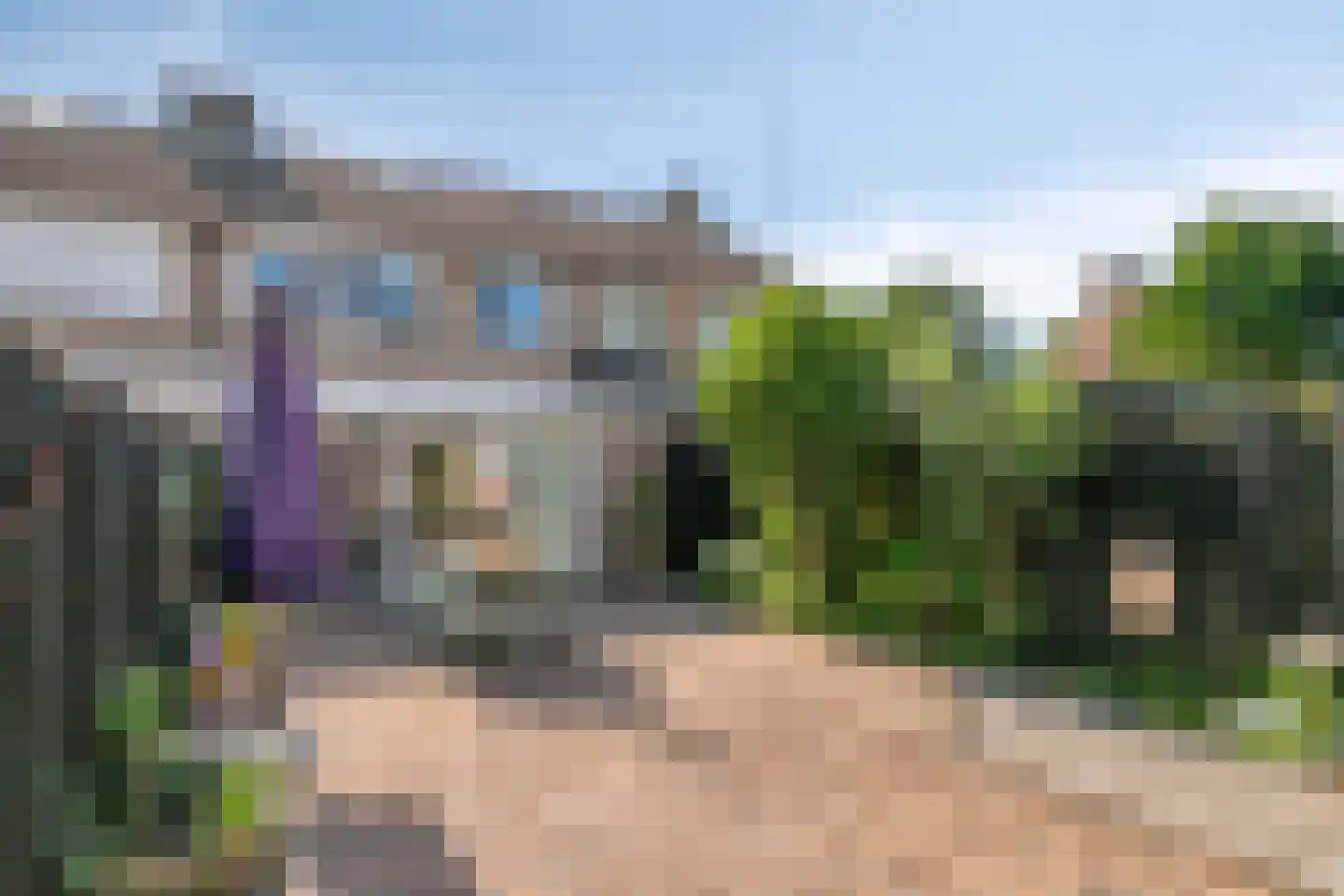 Lisdodde 18 Mierlo thumbnail 31
