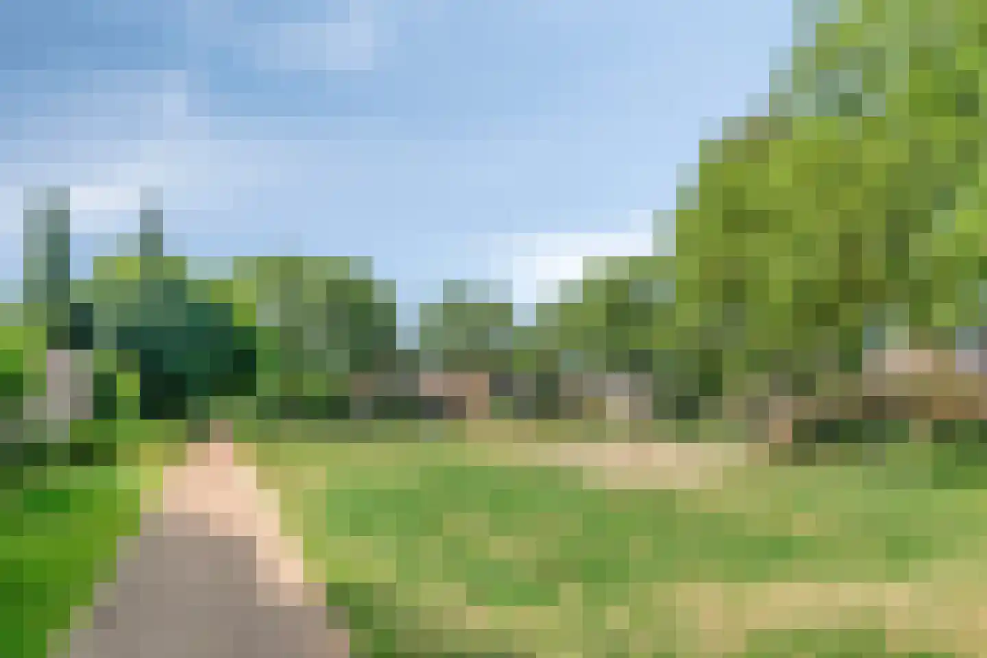 Lisdodde 18 Mierlo thumbnail 33
