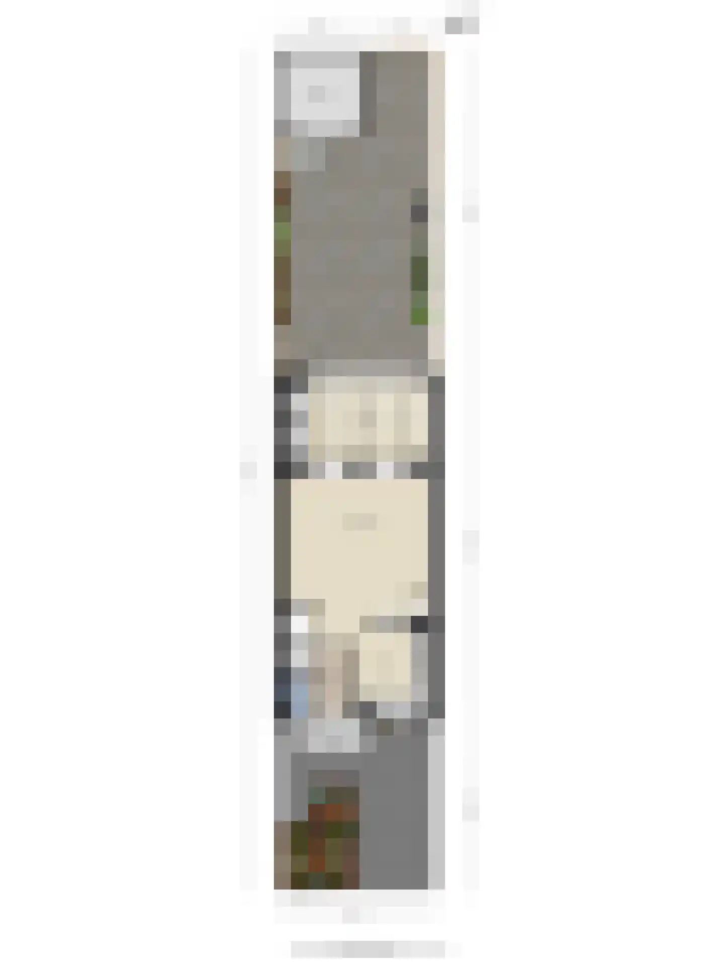 Lisdodde 18 Mierlo thumbnail 35