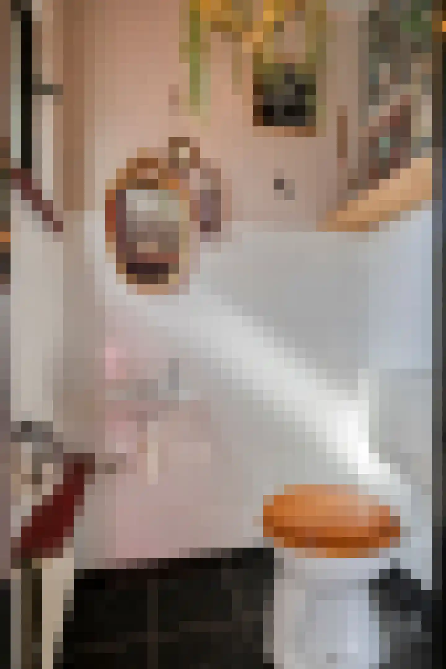 Lisdodde 18 Mierlo thumbnail 7
