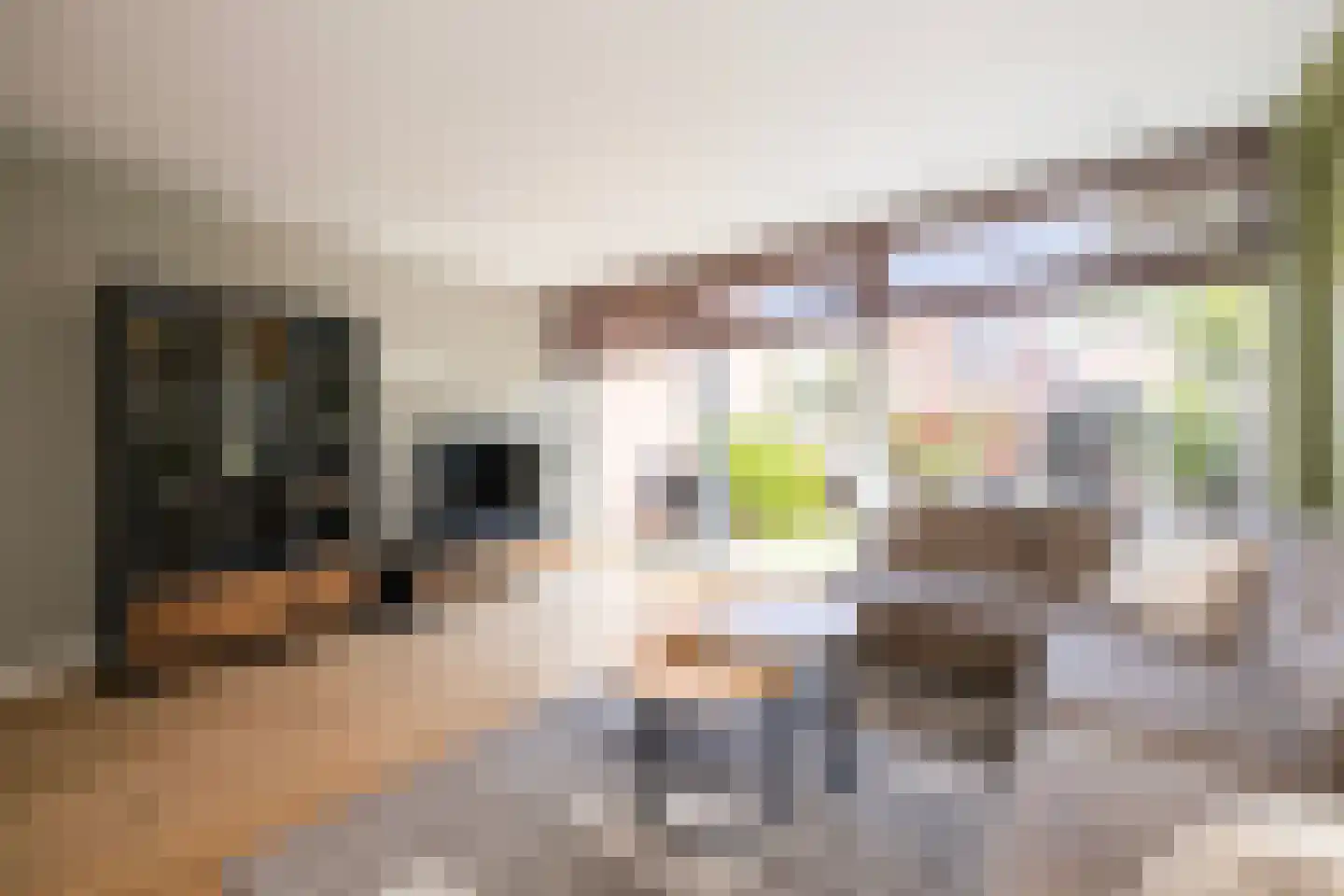 Lisdodde 18 Naaldwijk thumbnail 10