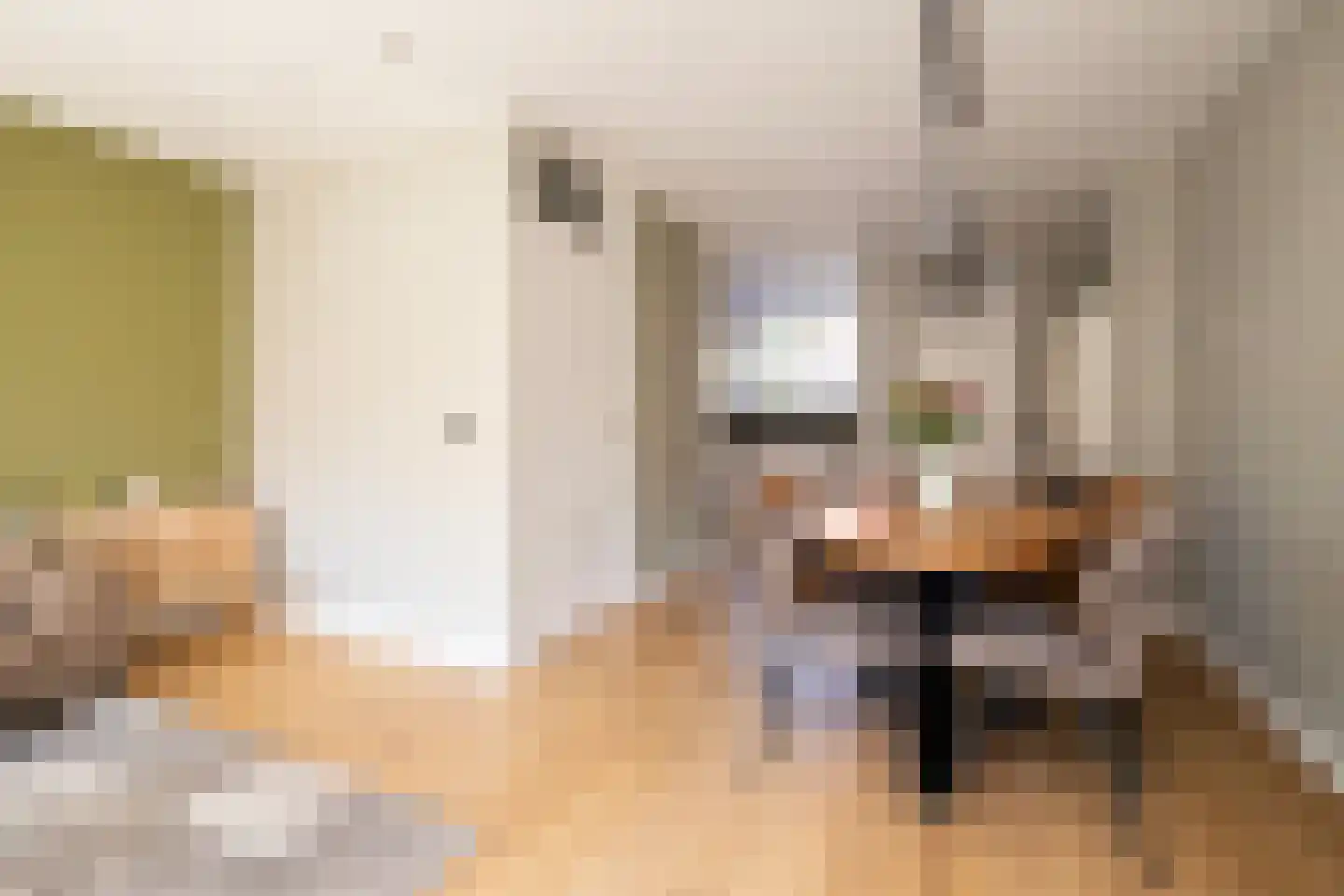 Lisdodde 18 Naaldwijk thumbnail 12