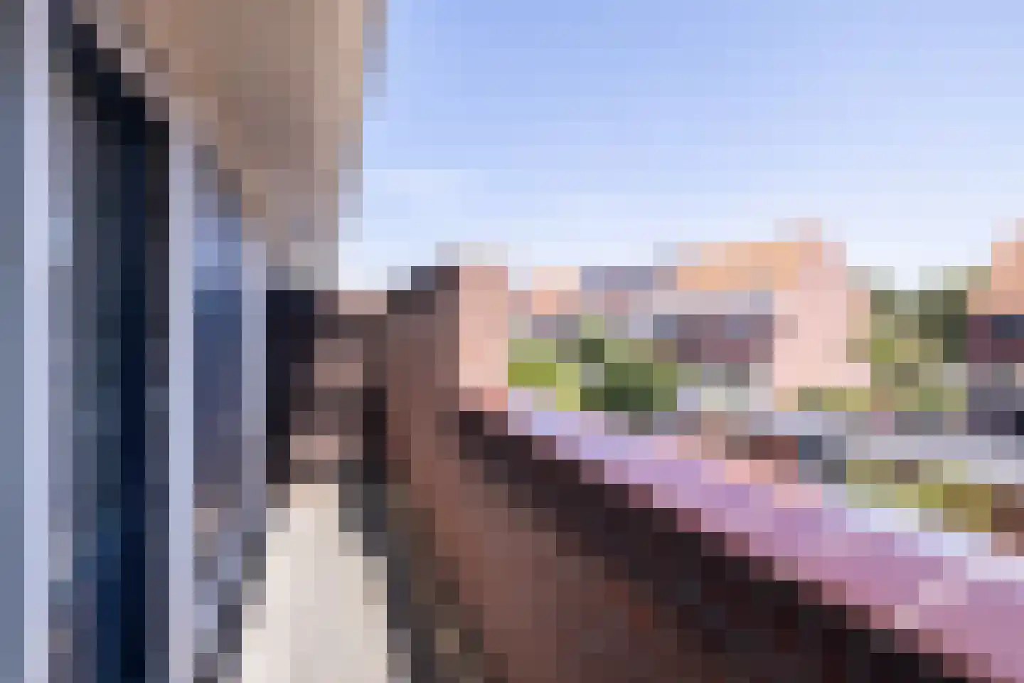 Lisdodde 18 Naaldwijk thumbnail 20