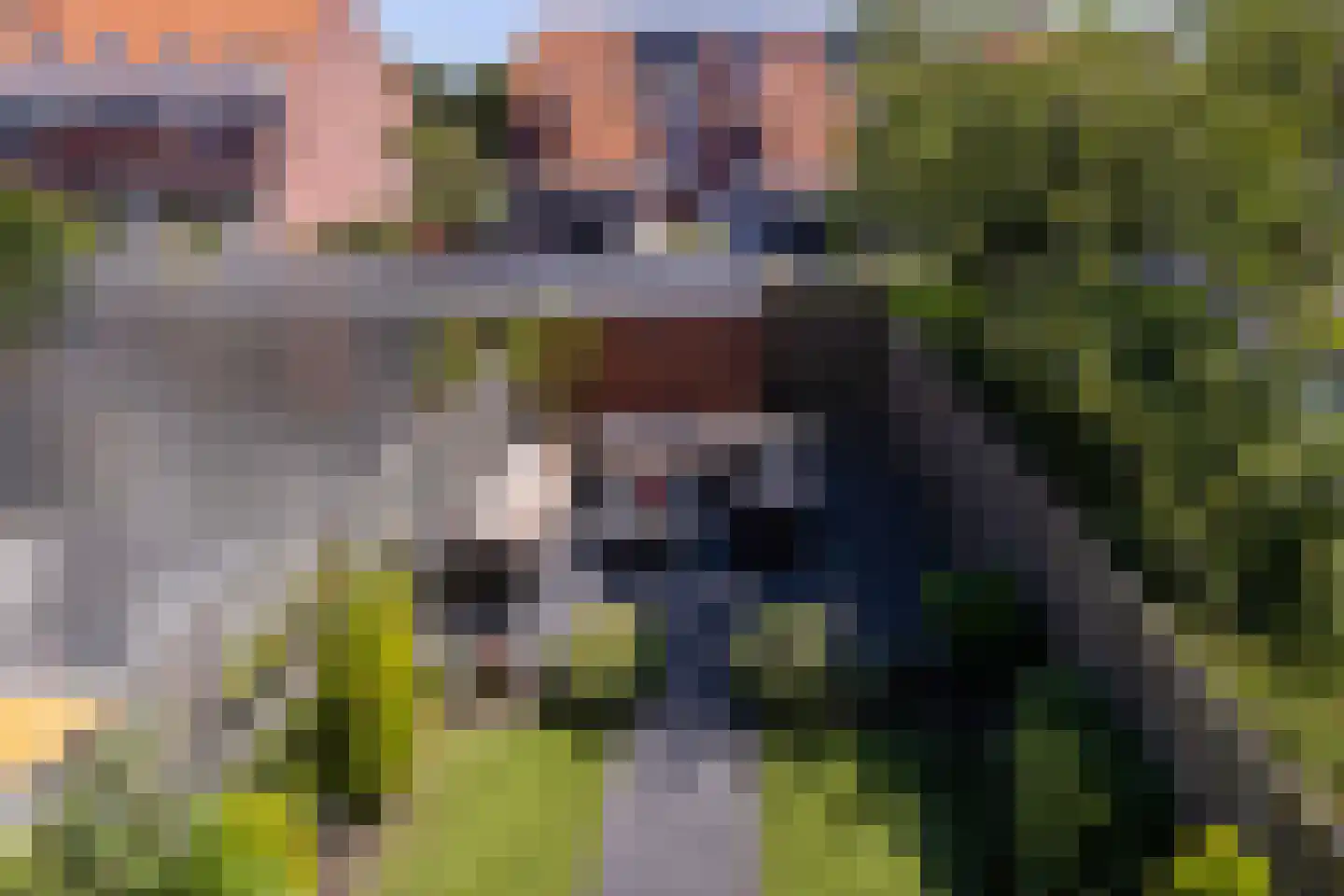 Lisdodde 18 Naaldwijk thumbnail 32