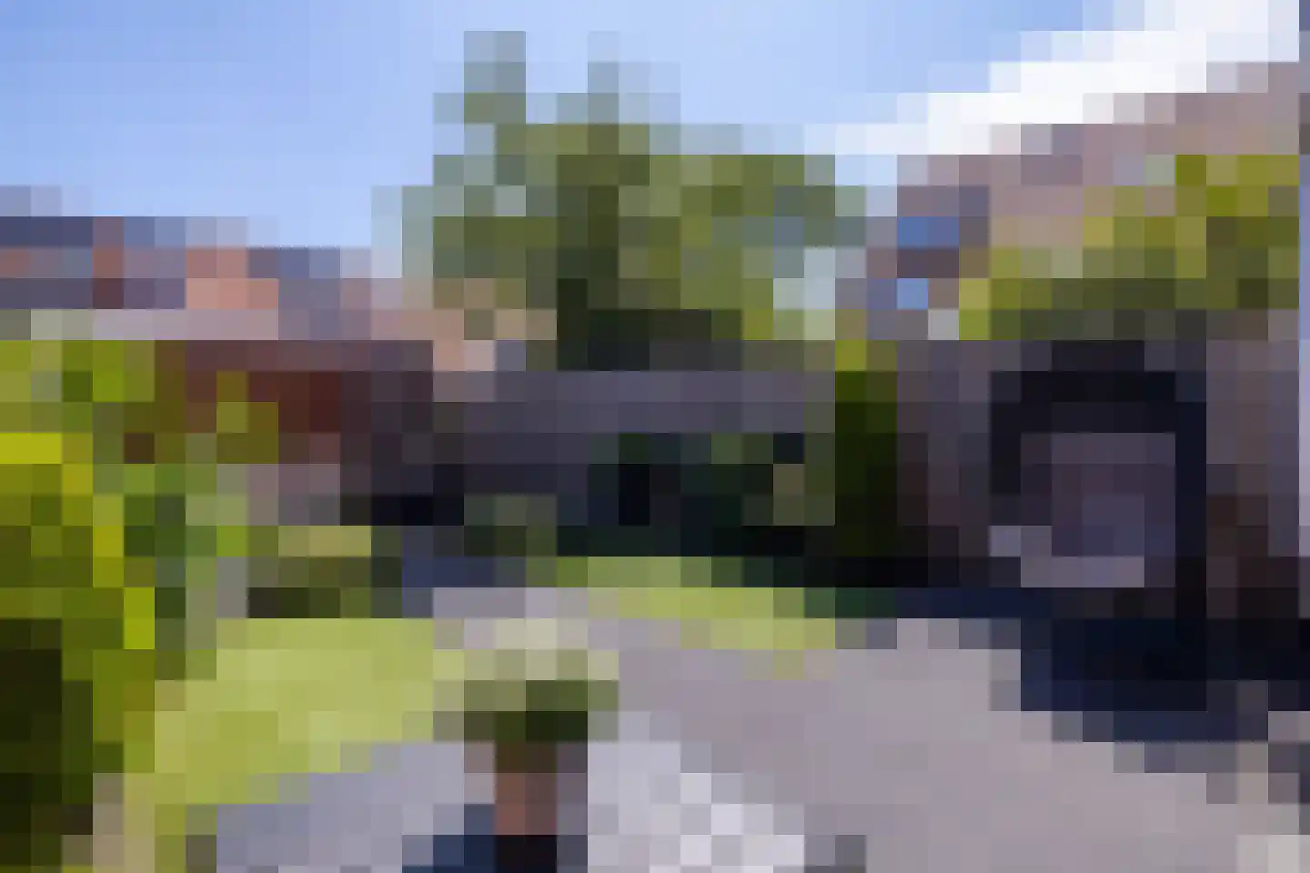 Lisdodde 18 Naaldwijk thumbnail 38