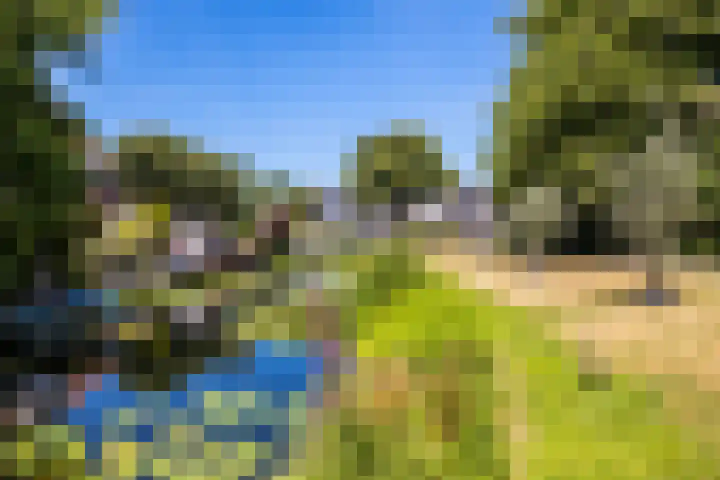 Lisdodde 18 Naaldwijk thumbnail 43