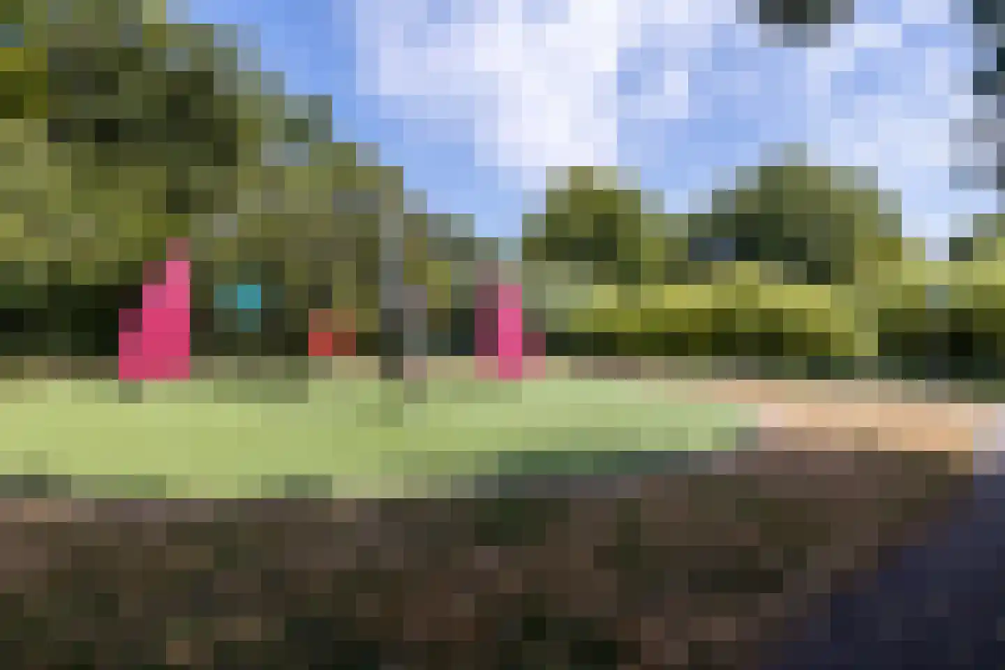 Lisdodde 18 Naaldwijk thumbnail 44