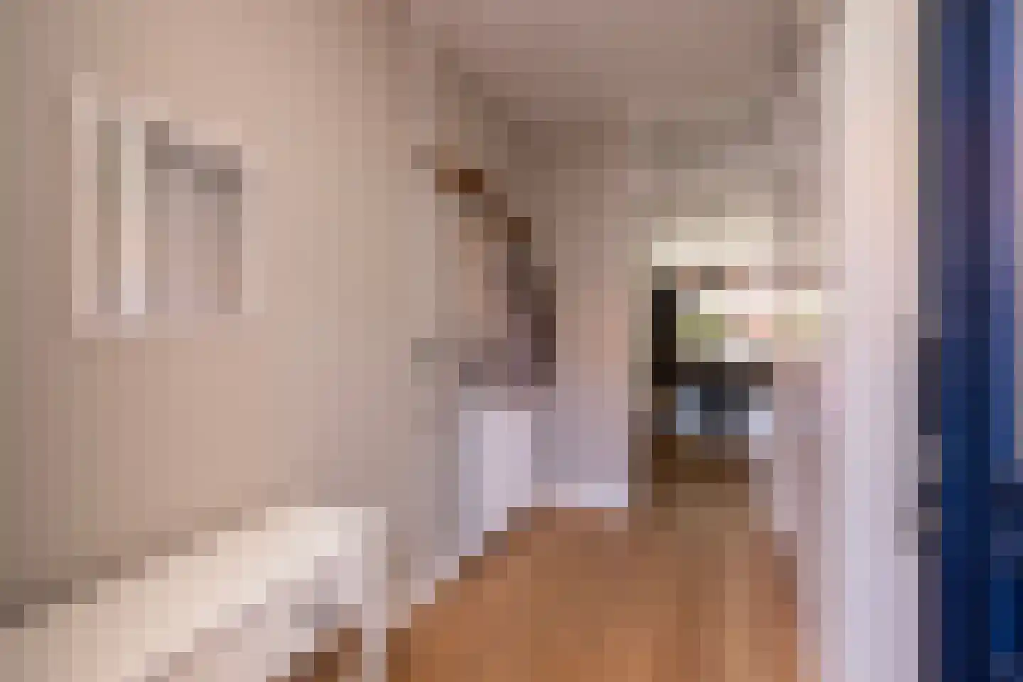 Lisdodde 18 Naaldwijk thumbnail 7