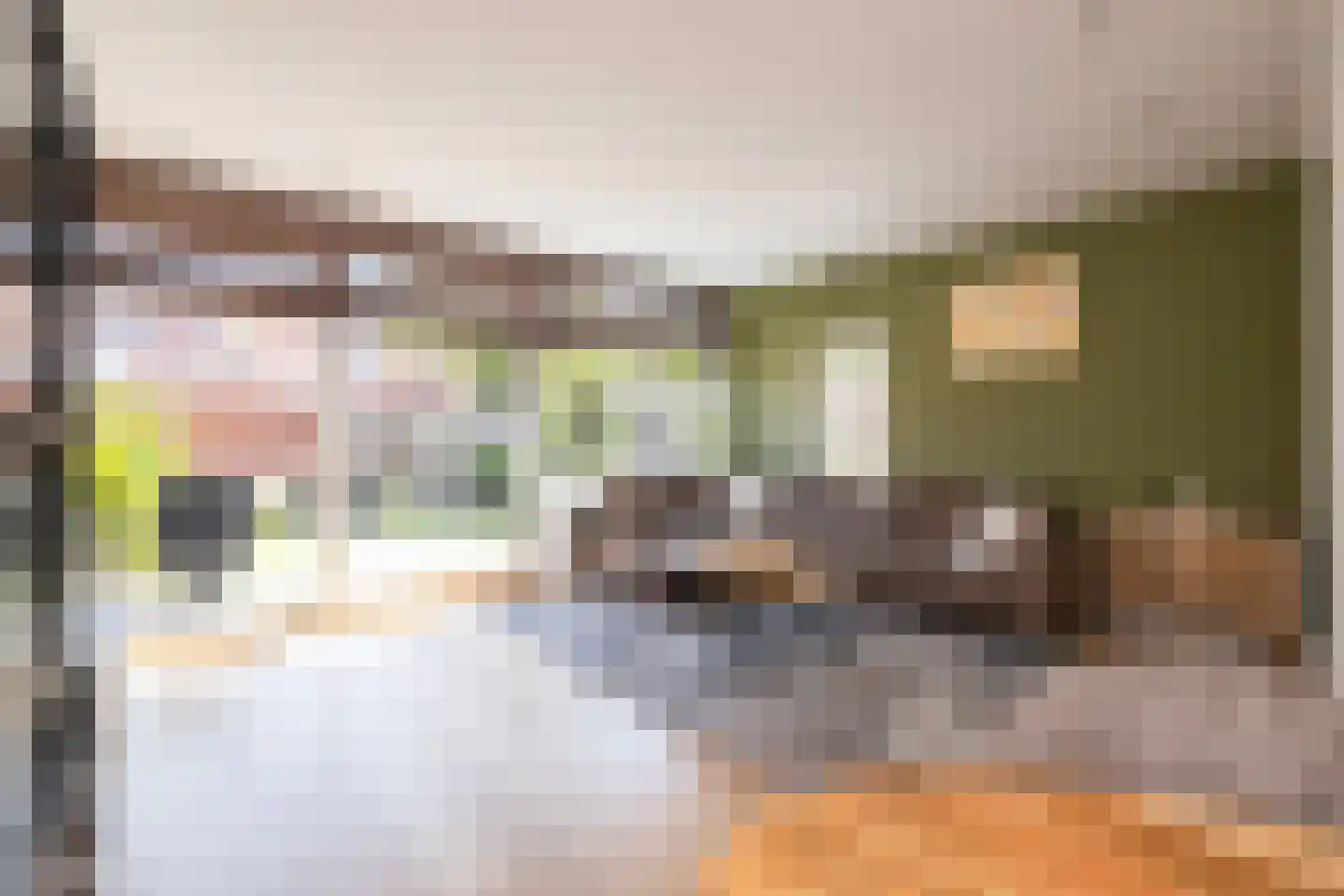 Lisdodde 18 Naaldwijk thumbnail 9
