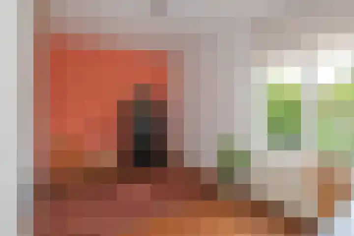 Lisdodde 2 Almelo thumbnail 11