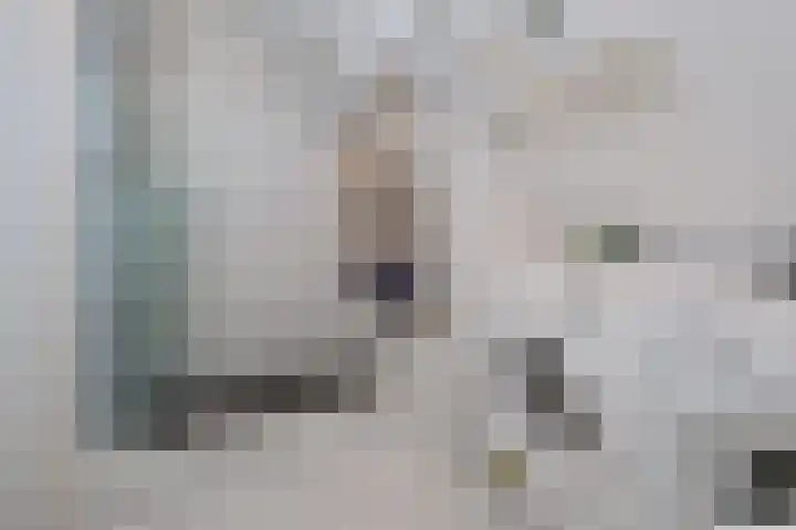 Lisdodde 2 Almelo thumbnail 13