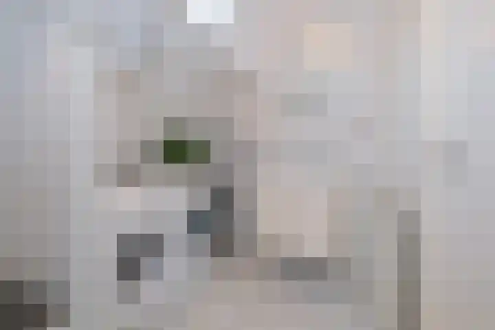Lisdodde 2 Almelo thumbnail 15