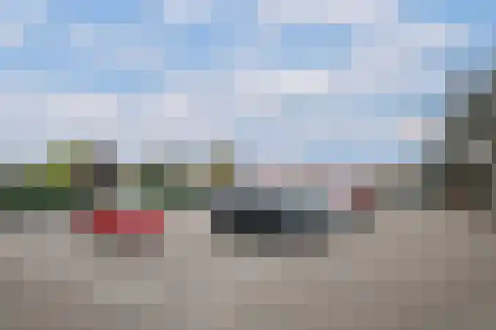 Lisdodde 2 Almelo thumbnail 18