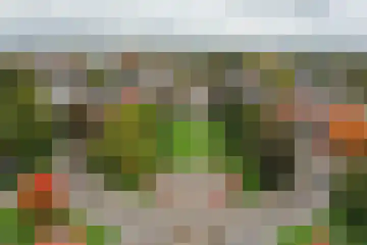Lisdodde 2 Almelo thumbnail 20