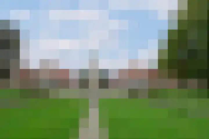 Lisdodde 2 Almelo thumbnail 21