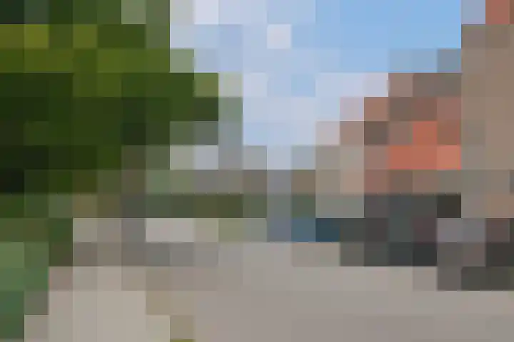 Lisdodde 2 Almelo thumbnail 22