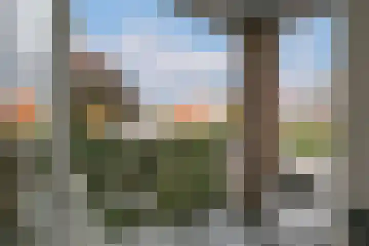 Lisdodde 2 Almelo thumbnail 7