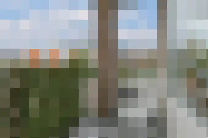 Lisdodde 2 Almelo thumbnail 8