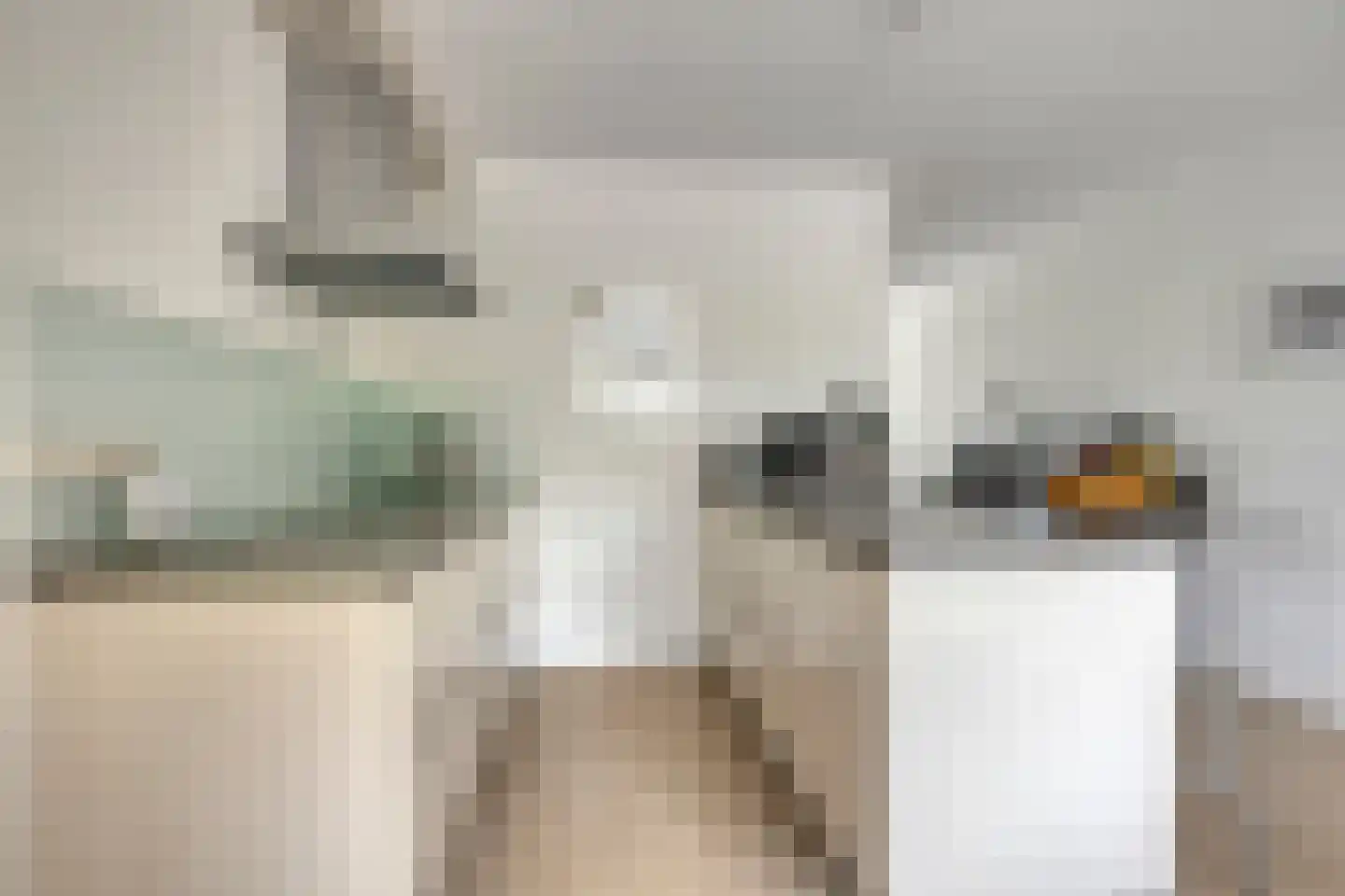 Lisdodde 2 Meppel thumbnail 12