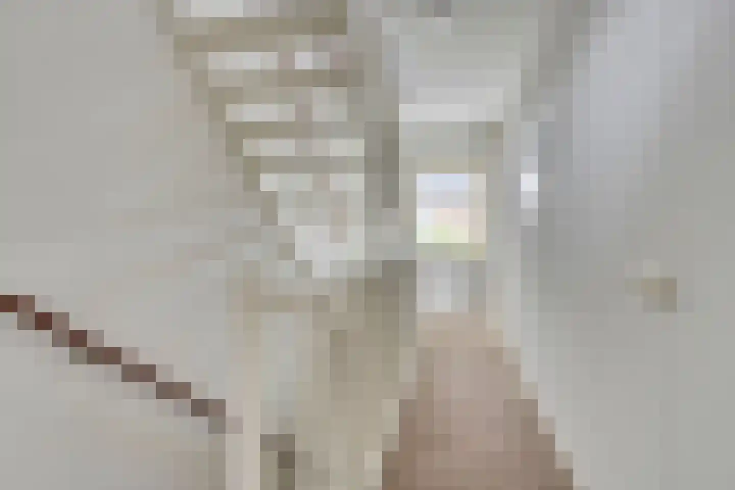 Lisdodde 2 Meppel thumbnail 13