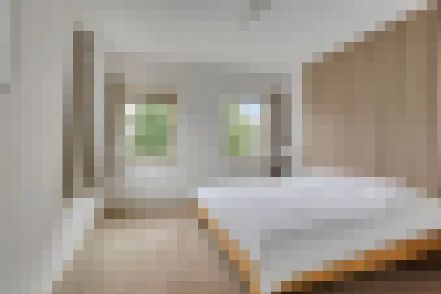 Lisdodde 2 Meppel thumbnail 14