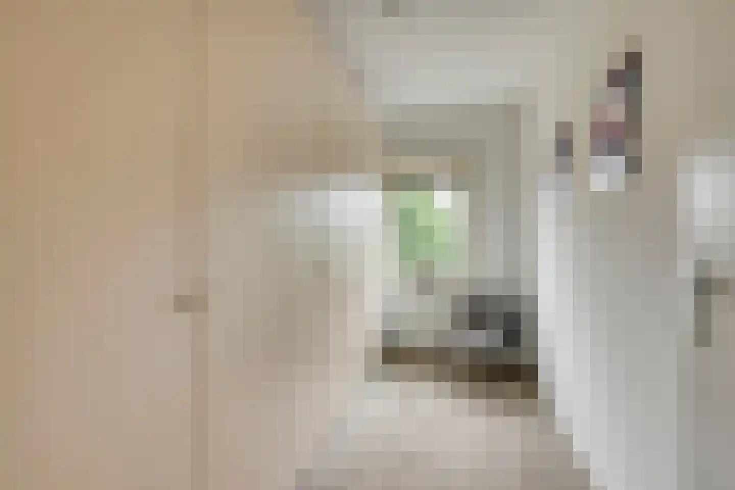 Lisdodde 2 Meppel thumbnail 18