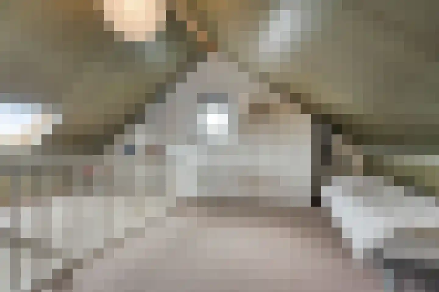 Lisdodde 2 Meppel thumbnail 21