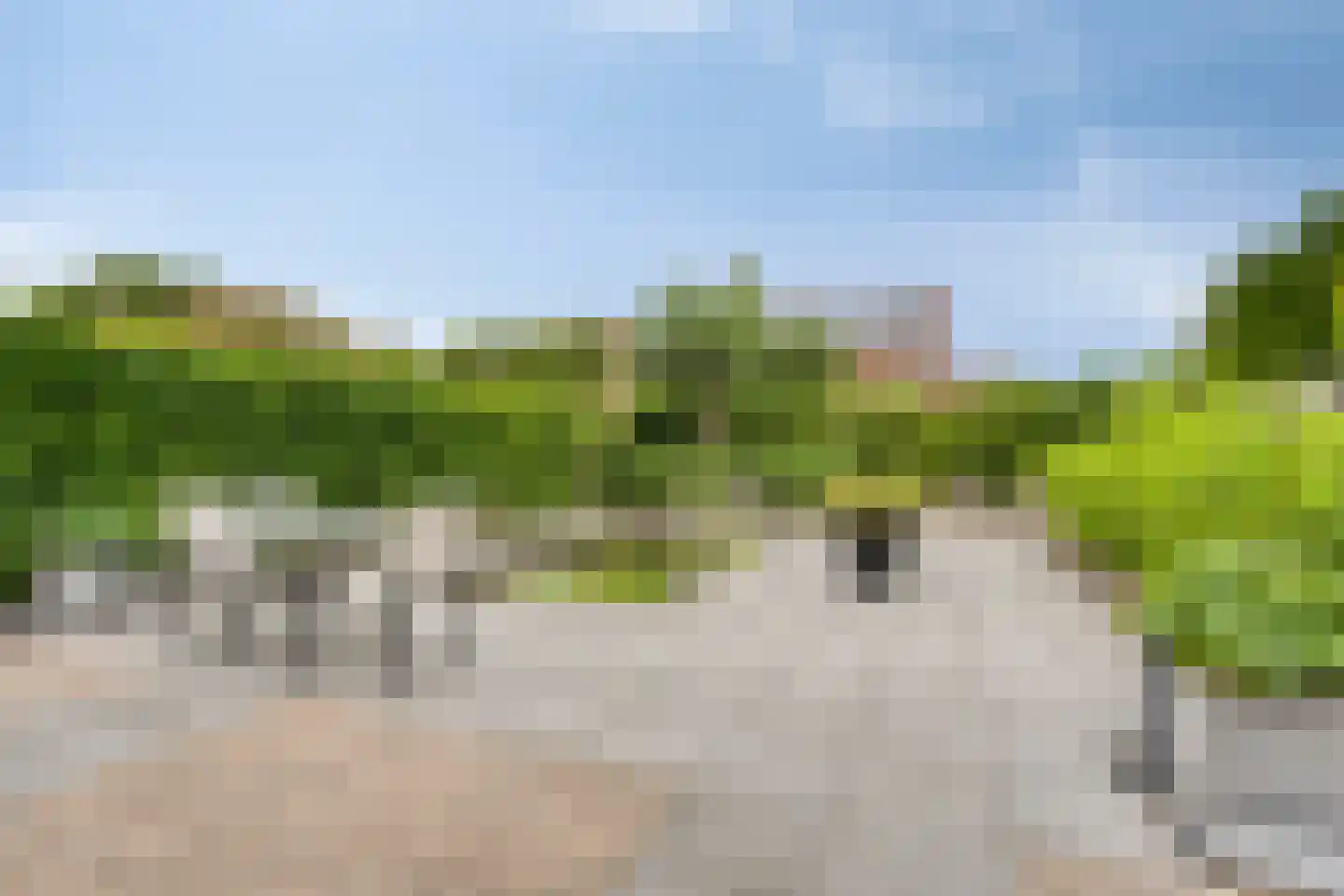 Lisdodde 2 Meppel thumbnail 23