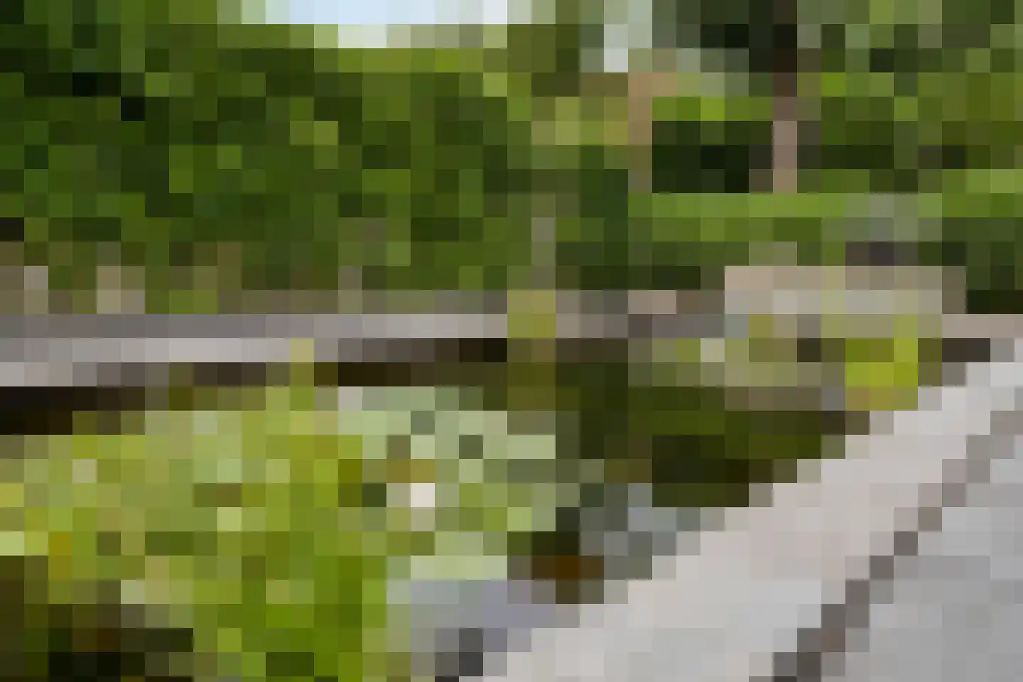 Lisdodde 2 Meppel thumbnail 24