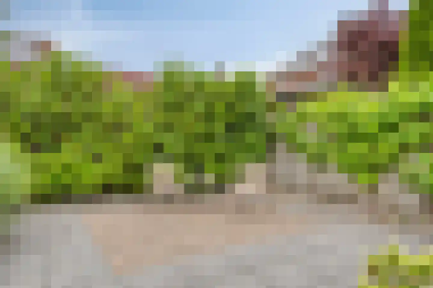 Lisdodde 2 Meppel thumbnail 25