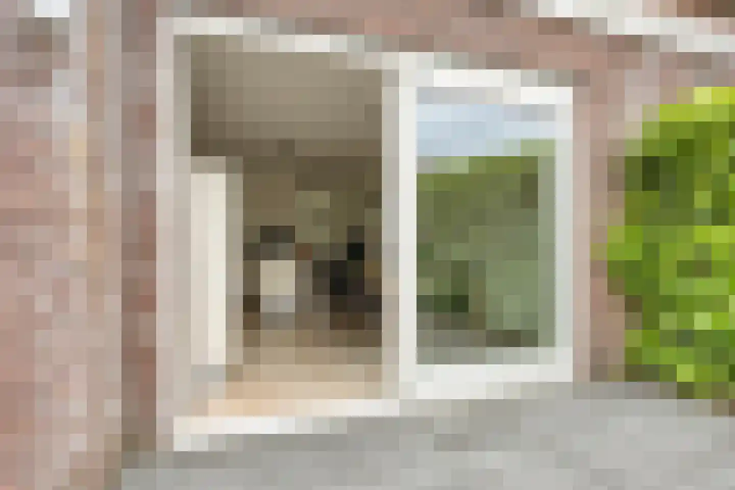 Lisdodde 2 Meppel thumbnail 26