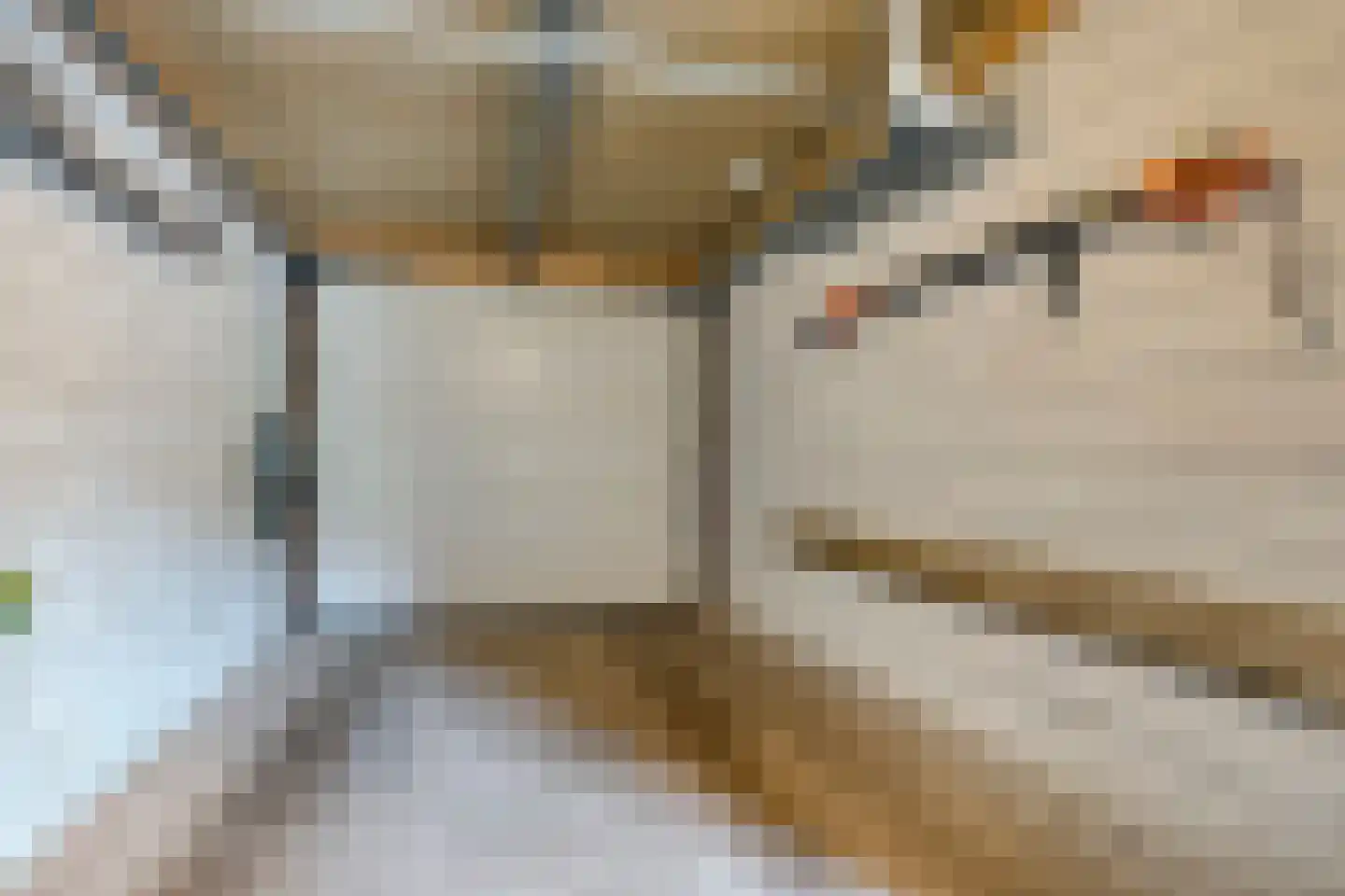 Lisdodde 2 Meppel thumbnail 28