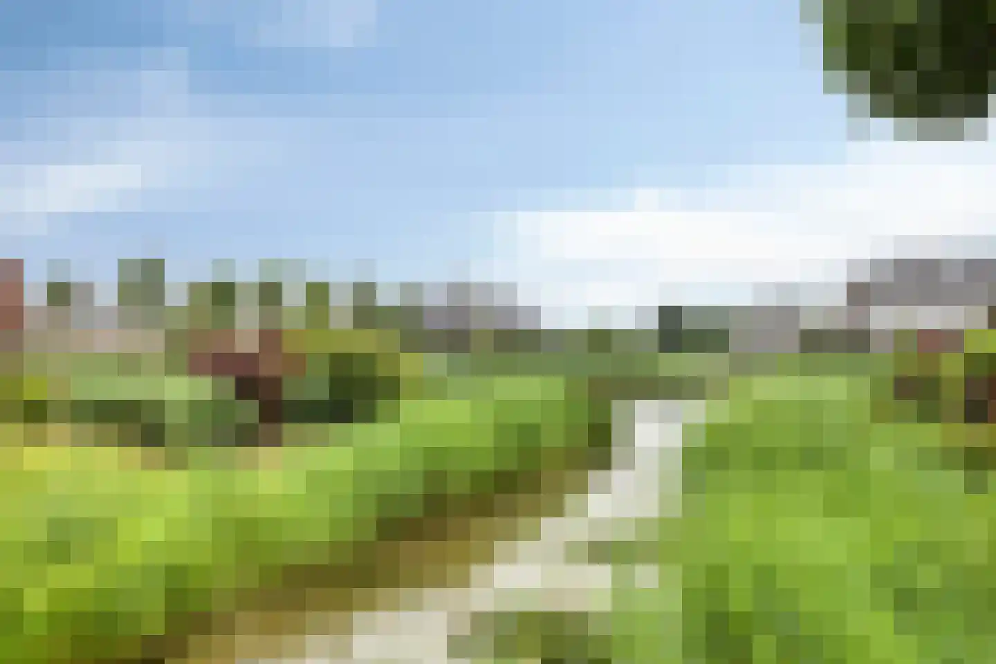 Lisdodde 2 Meppel thumbnail 37