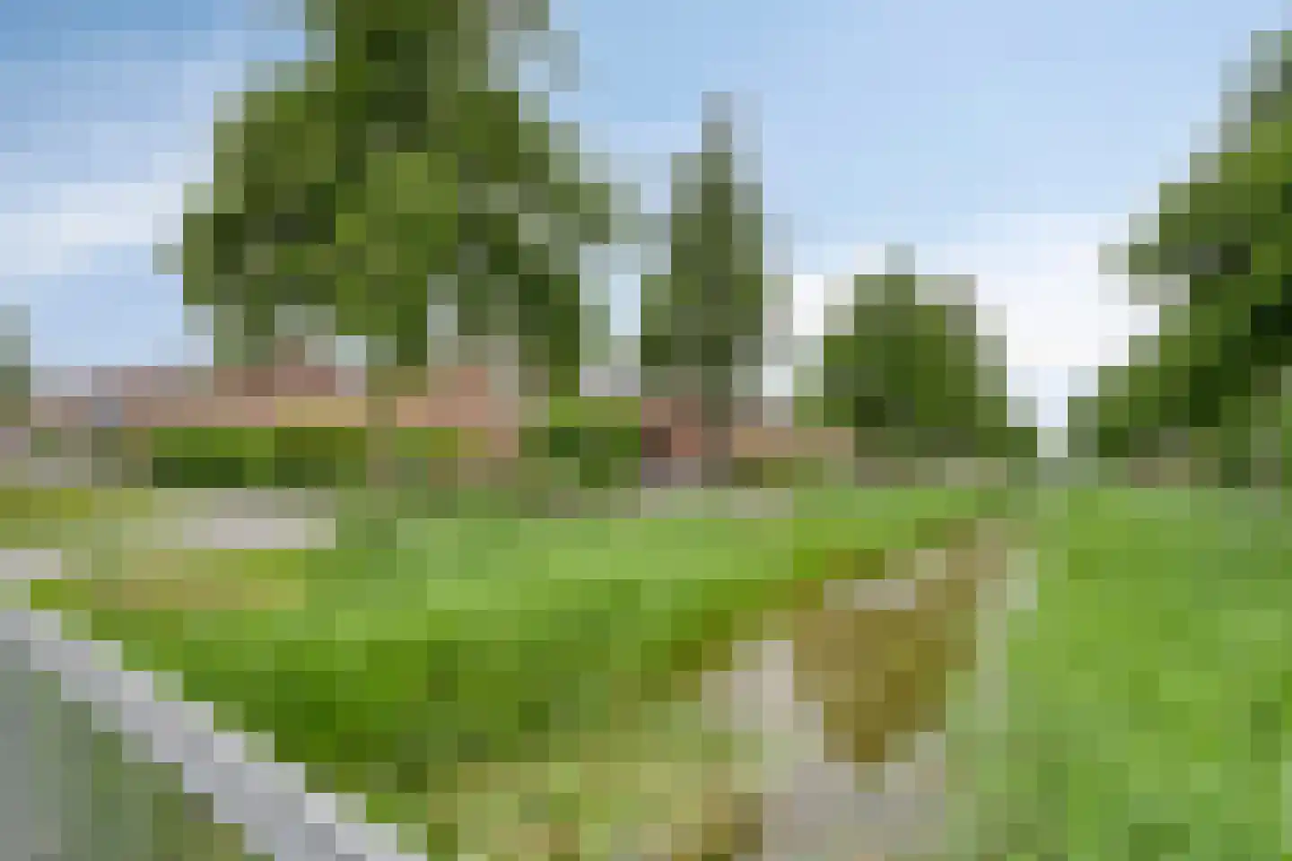 Lisdodde 2 Meppel thumbnail 38