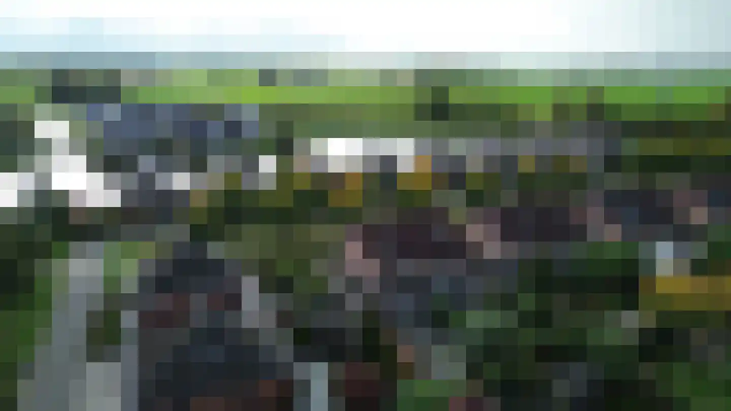 Lisdodde 2 Meppel thumbnail 39