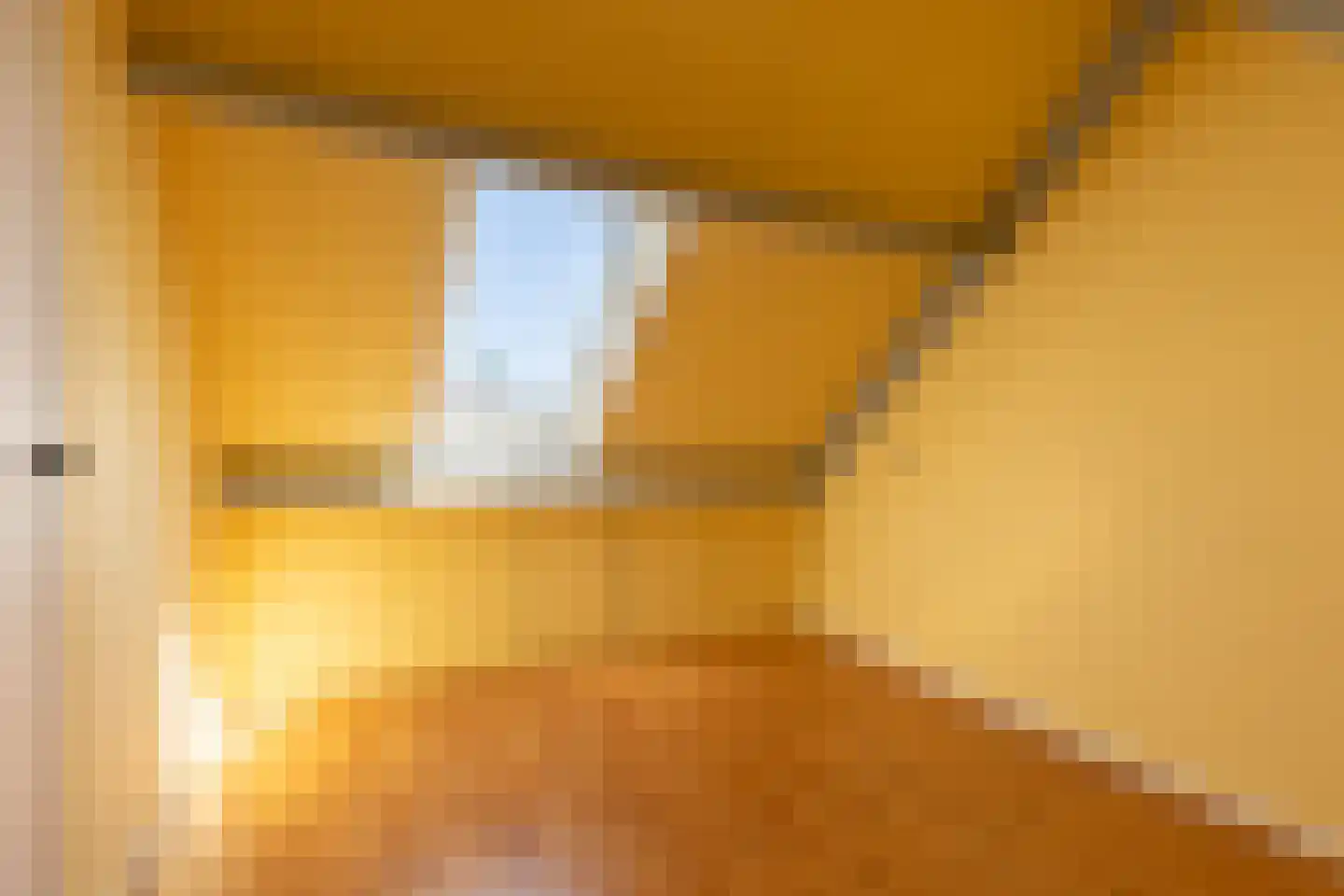 Lisdodde 2 Soest thumbnail 23