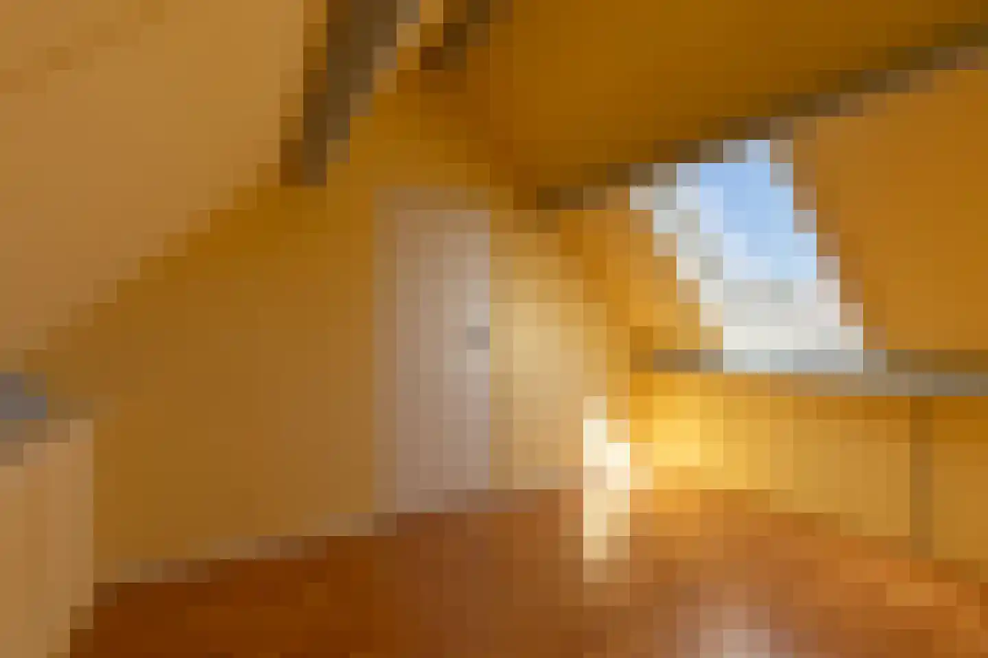 Lisdodde 2 Soest thumbnail 24