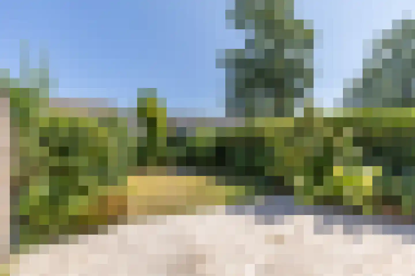 Lisdodde 2 Soest thumbnail 28