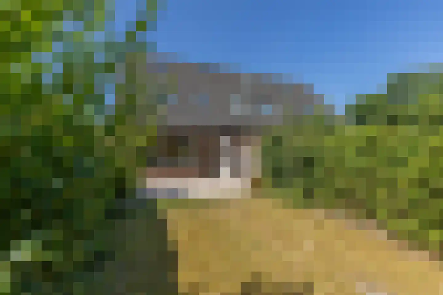 Lisdodde 2 Soest thumbnail 29