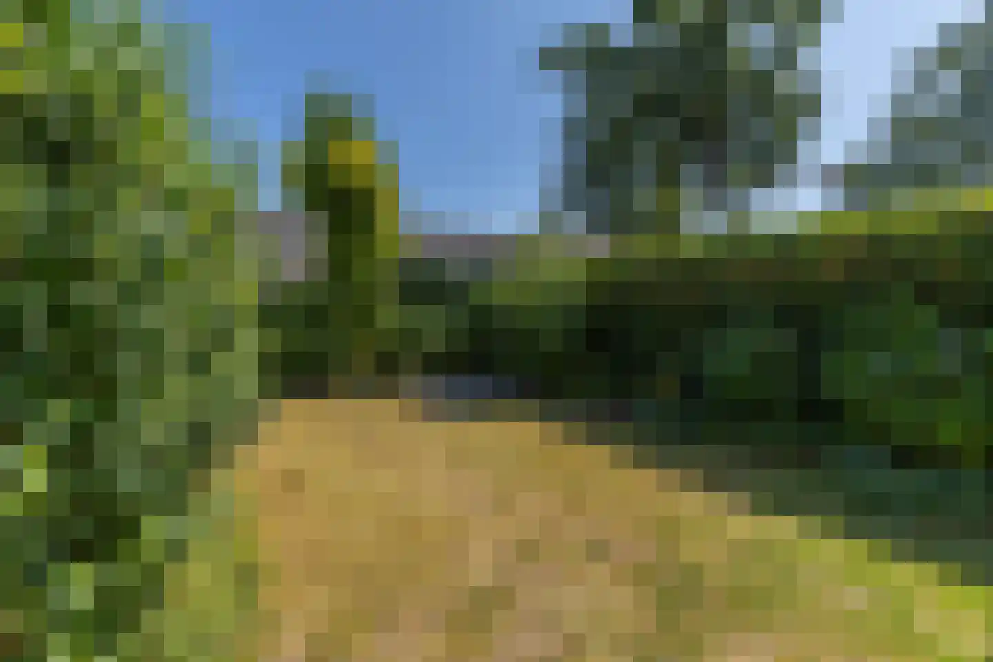 Lisdodde 2 Soest thumbnail 30