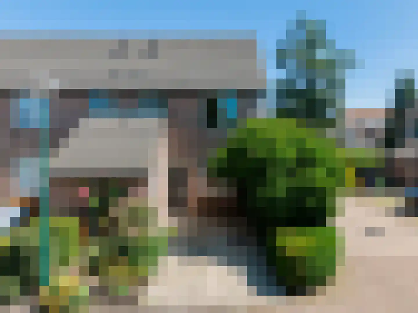 Lisdodde 2 Soest thumbnail 33