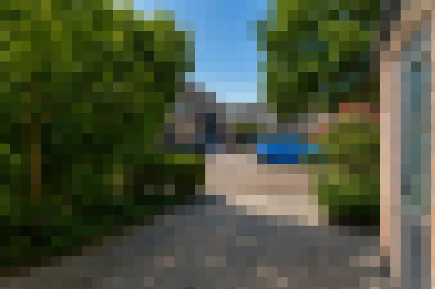 Lisdodde 2 Soest thumbnail 35