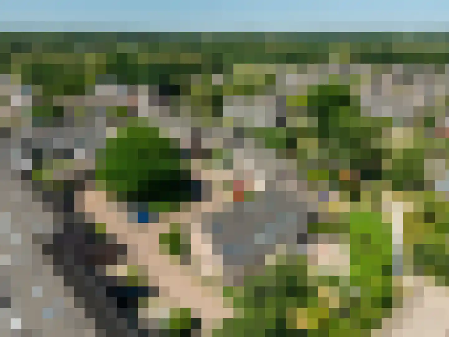 Lisdodde 2 Soest thumbnail 36